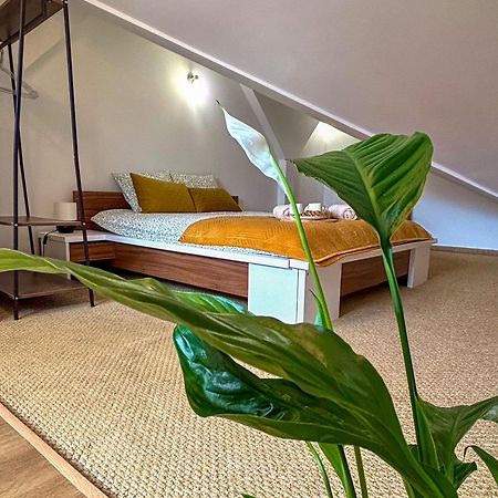 Sunset Apartment Cracow كراكوفيا المظهر الخارجي الصورة