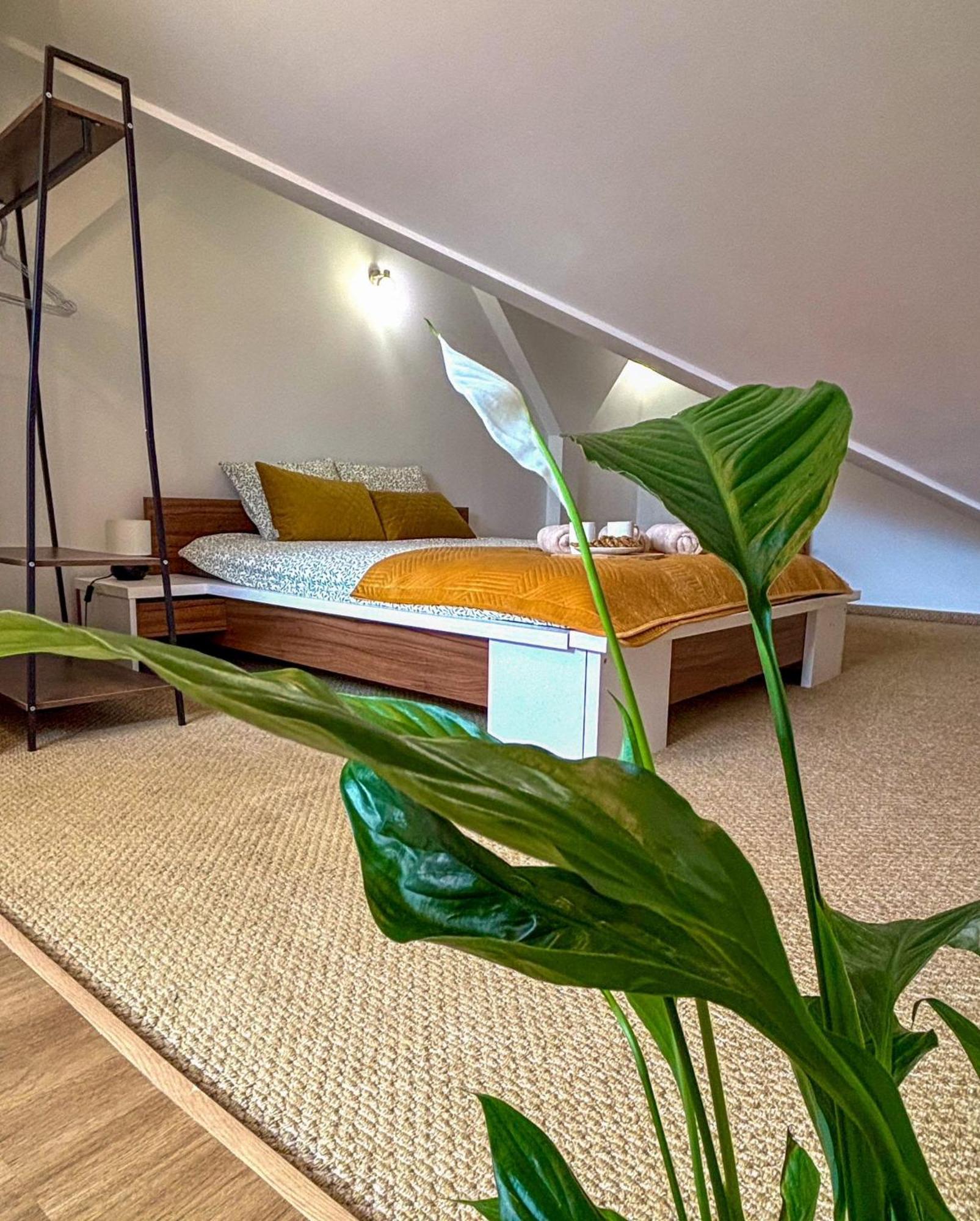 Sunset Apartment Cracow كراكوفيا المظهر الخارجي الصورة
